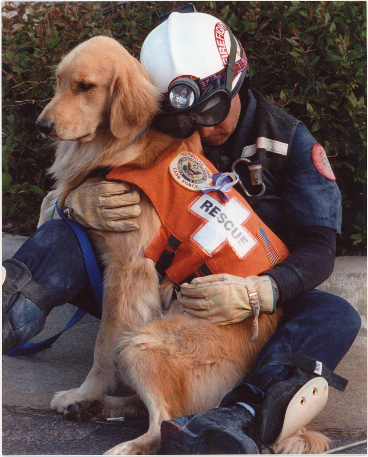 Copy of fig 15.6 First responder with dog copy