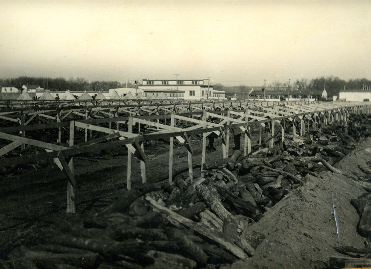 Copy of fig 8.4 Barbeque Pits for Waltons inauguration at State Fairgrounds 1923 OHS copy